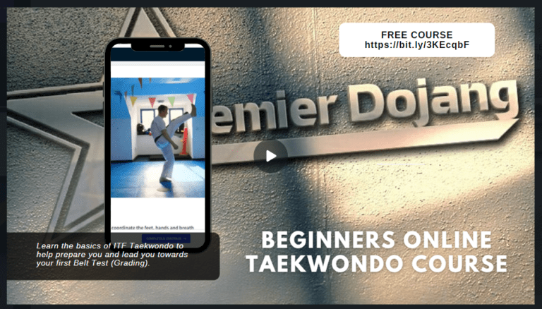 Learn Taekwondo Online : Top 5 Reasons Beginners Love This Free Online Taekwondo Course
