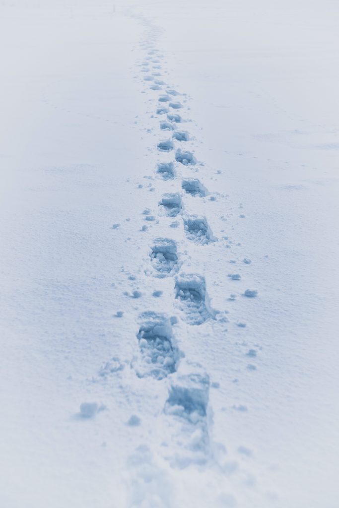Trying to improve your life can be like trudging through deep snow