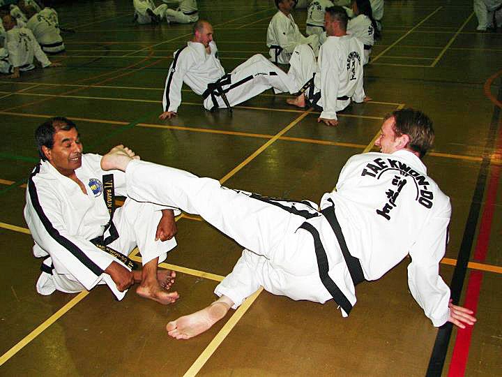 Martial Arts Taekwondo Training