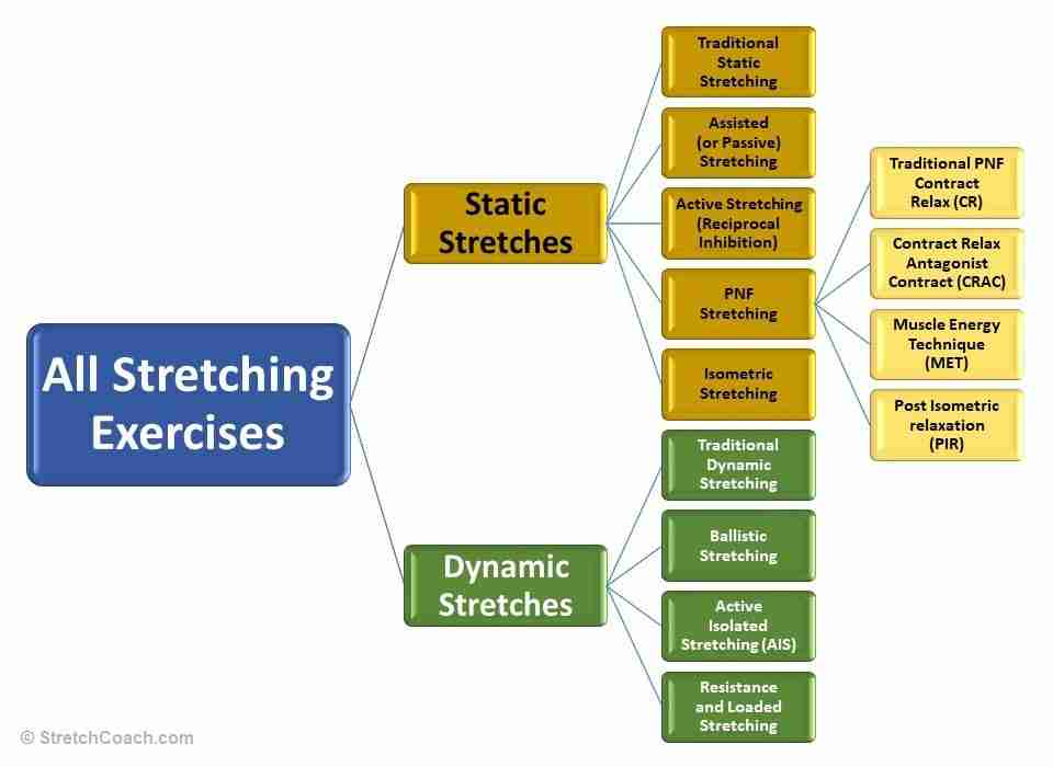 Martial Arts Stretching includes both Static & Dynamic Stretches