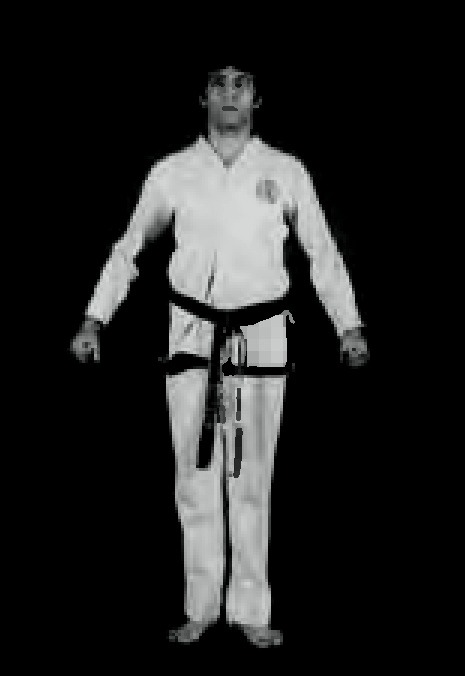 Taekwondo Stance - Attention Stance Charyot Sogi