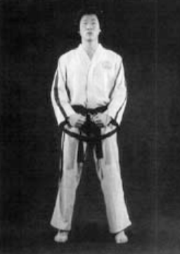 Taekwondo Stance - Parallel Stance Narani Sogi
