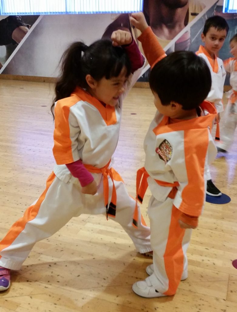 kicking tigers 3 to 6 yearly years martial arts program